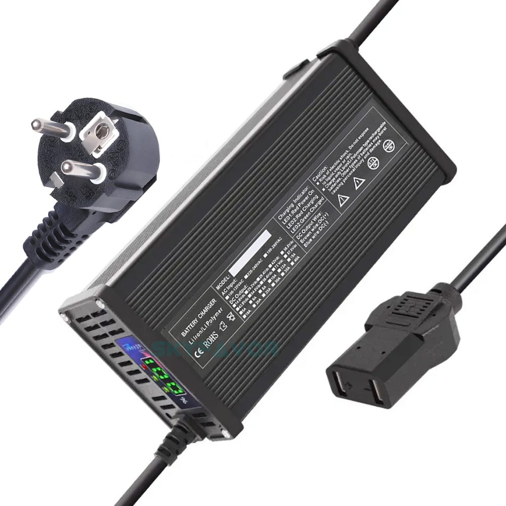 Customized 20A 12V Battery Pack Charger 12V 20A Automatic 12 Volt Lead Acid Lifepo4 Lithium Batteries Charger with CE ROHS