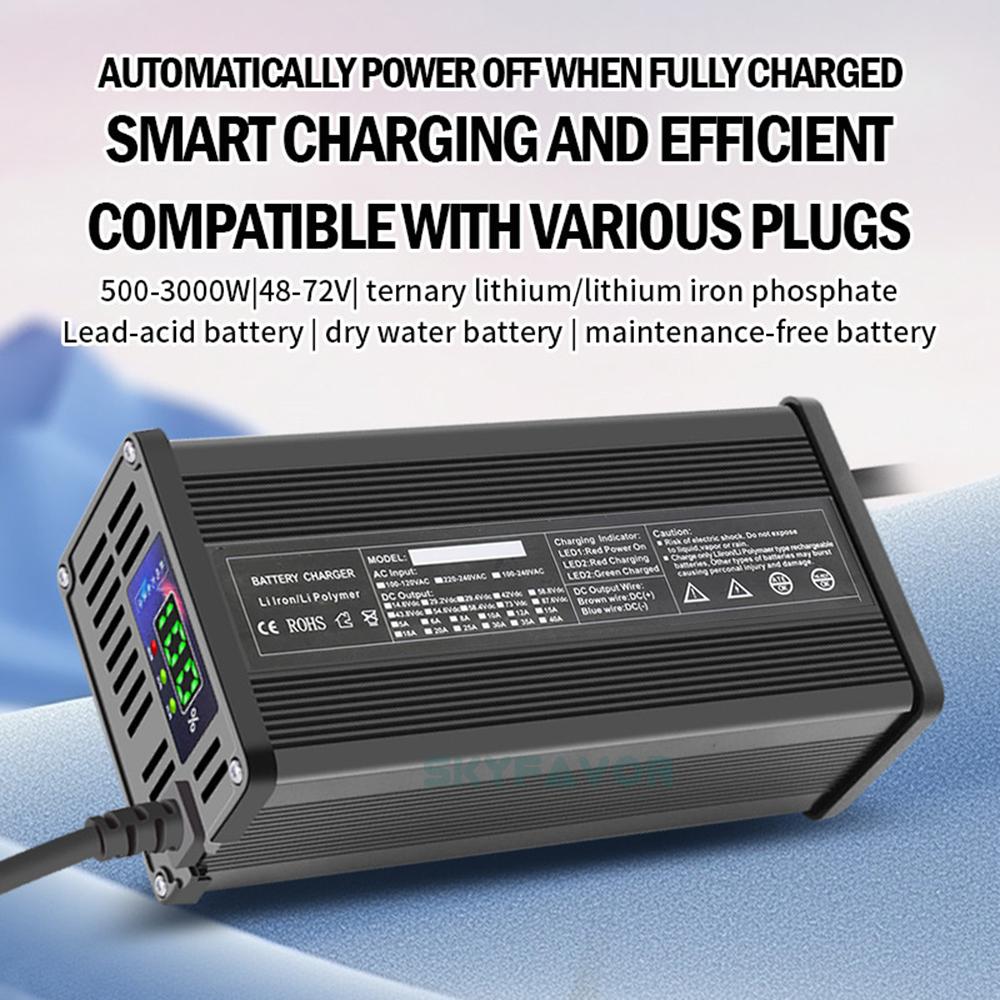 Custom Professional 60V 12A Battery Pack Charger Led Display 60 Volt Battery Charger for 30ah 40ah 50ah 60ah 80ah 100ah Battery
